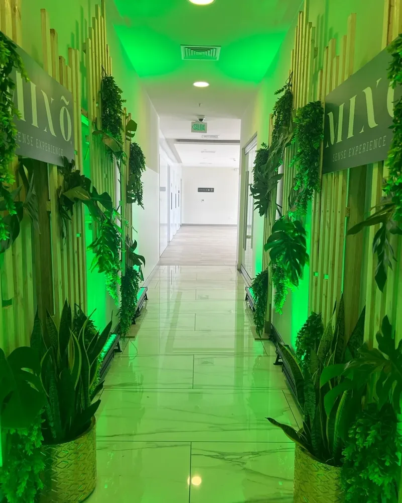 Túnel verde iluminado de la experiencia Mixo Sense